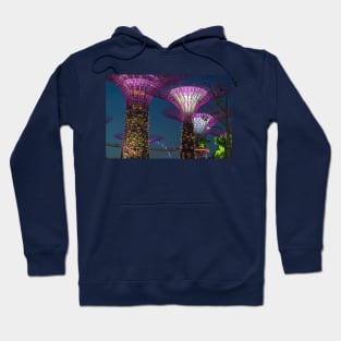 Supertree Grove Singapore Hoodie